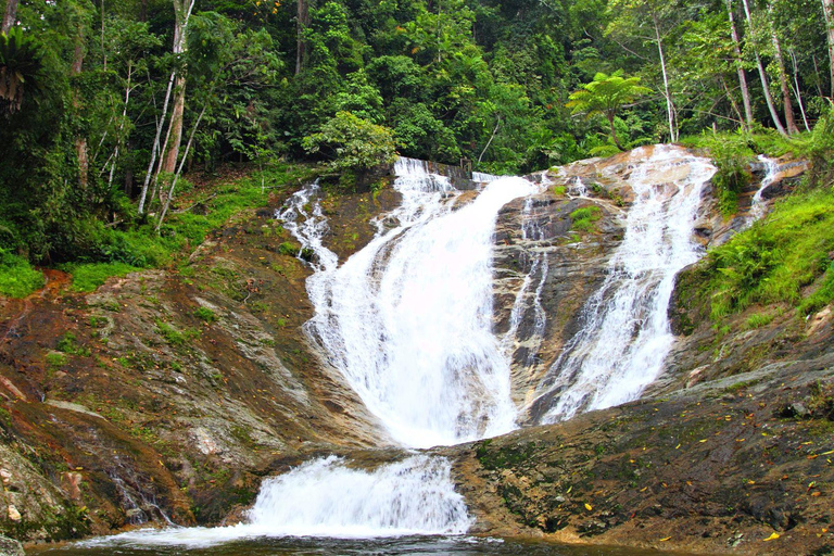 De Kuala Lumpur: excursão de dia inteiro a Cameron Highlands