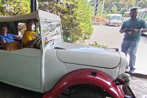 Kandy: Guided City Tour with Boat Ride & Tuk-Tuk Ride