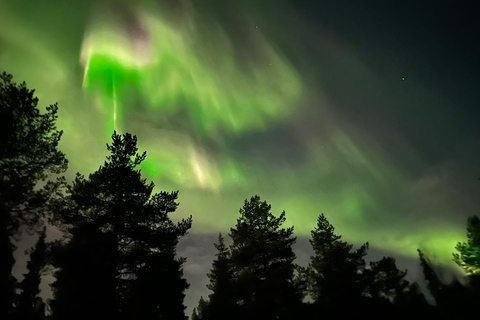 Från Kiruna: Abisko nationalpark norrskenstur