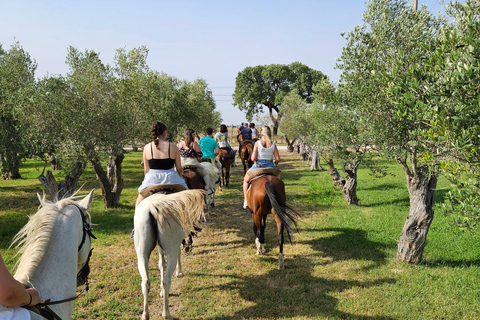 Horseback riding on the beach - PDTBeach horseback riding in group