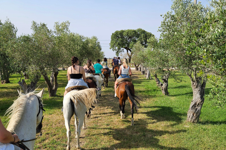 Reiten am Strand - PDTReiten am Strand in der Gruppe