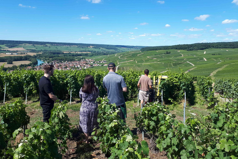 Reims: L'Incontournable Tradition & Dégustation panoramique