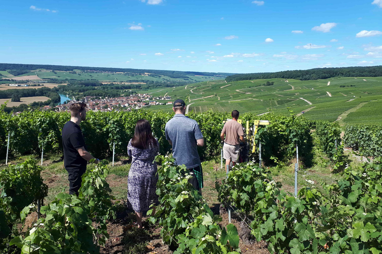 Reims: L&#039;Incontournable Tradition &amp; panoramisch uitzicht