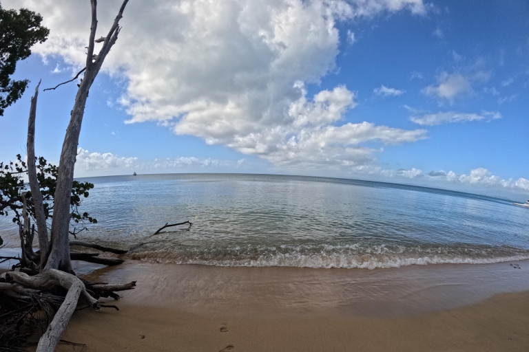 Plaża i nurkowanie z łodzią motorową All Inclusive Vieques