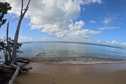 Vieque: Power Boat Turtle Snorkel and Beach Tour with Lunch