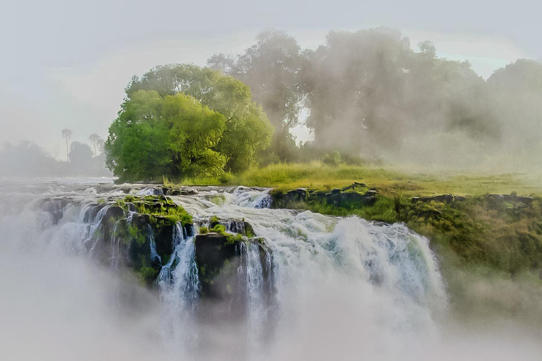 Guided Tour of the Falls