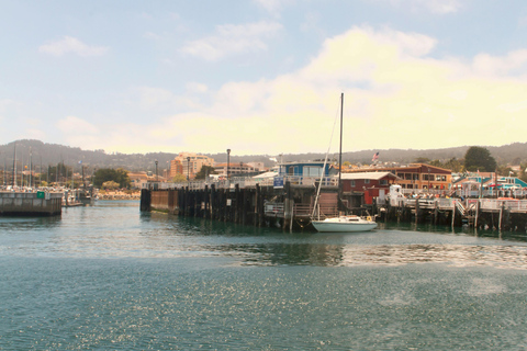 San Francisco: Monterey Bay Aquarium, Carmel & 17-Mile Drive San Francisco: Monterey & Carmel Tour WITHOUT Aquarium