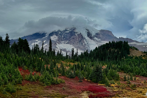 Mount Rainier National Park Small-Group DayTour from Seattle