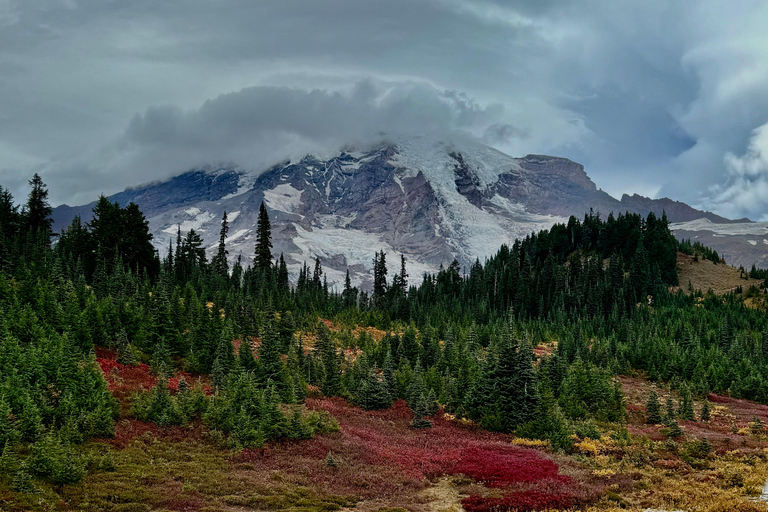 Mount Rainier National Park Small-Group DayTour from Seattle