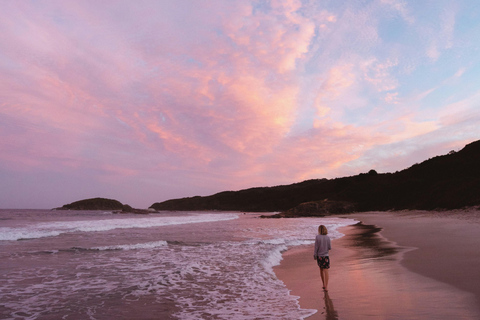 Kings park, Beach and Pinnacles in 1 day