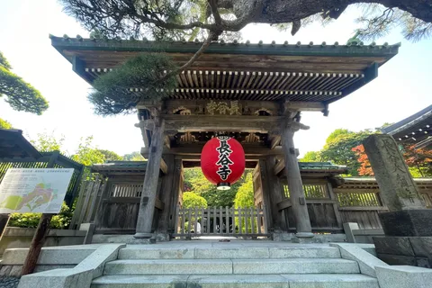 Kamakura: O maior Buda de madeira, templos, experiência cultural