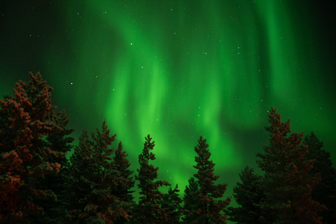 Levi: Family friendly Snow Village visit & Northern lights!