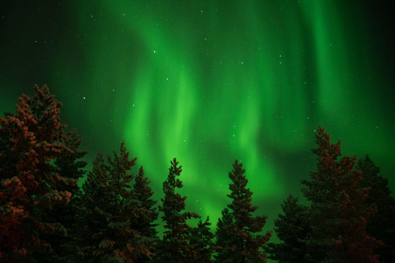 Levi: Family friendly Snow Village visit & Northern lights!