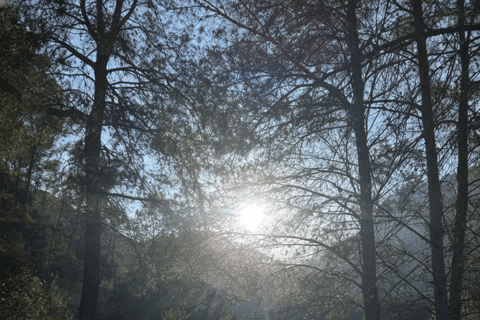 Valencia: Montanejos Thermal Springs & Waterfall Hike