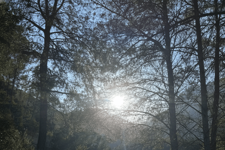Valencia: Montanejos Thermal Springs & Waterfall Hike