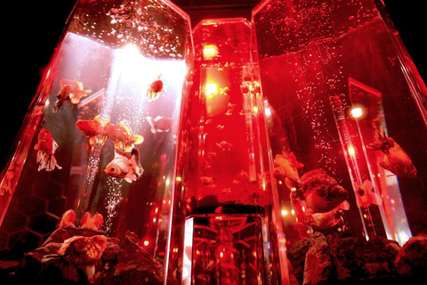 Osaka-Nara: 2-dniowy karnet Discovery PassTrasa północna: Tsutenkaku, HEP FIVE i nie tylko