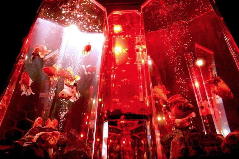 Osaka-Nara: 2-dniowy karnet Discovery PassTrasa północna: Tsutenkaku, HEP FIVE i nie tylko