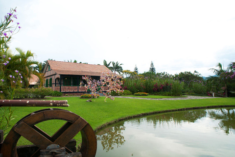 Florianópolis: Blumenau and Pomerode Germanic Route Day Trip