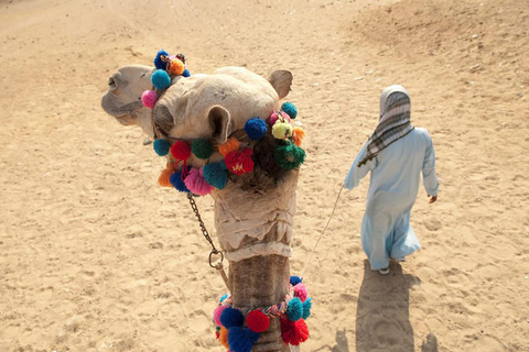 Hurghada: 5-uur durende quad safari in de woestijn en barbecueQuad-, jeep-, kameel- en buggysafari met barbecuediner