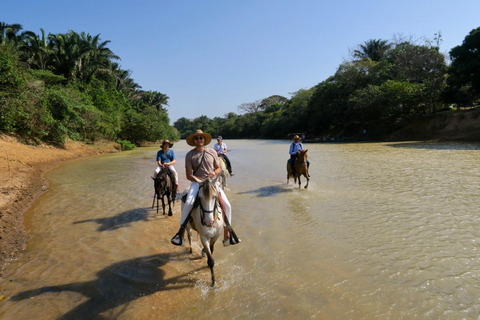 Safari con inseguimento di giaguari