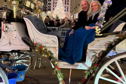 NYC: Central Park Christmas Lights Horse-Drawn Carriage Ride