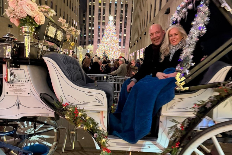 NYC: Central Park Christmas Lights Horse-Drawn Carriage Ride