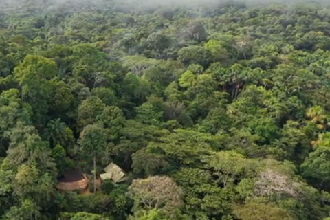 3-Day Amazon Expedition: Jungle, River & Wildlife Tour
