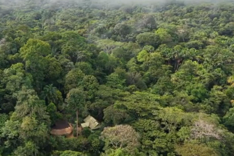3-Day Amazon Expedition: Jungle, River & Wildlife Tour