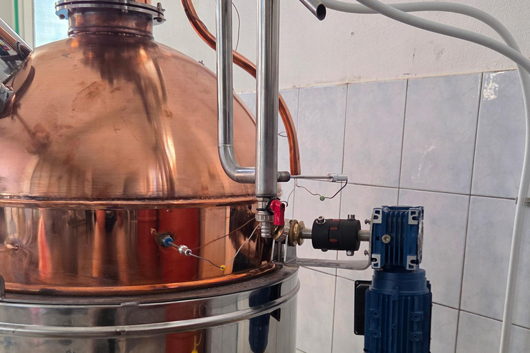 Golem/Distillery Tour/Raki Tasting/AlbanianMeze/with Pick-up