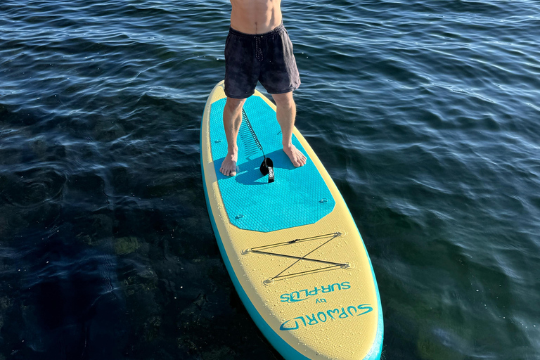 Oslo: Stand-Up Paddleboard Verhuur met veiligheidsbriefing