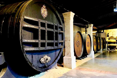 Jerez dalla Costa del Sol: cantine con degustazione di vini e spettacolo equestreJerez from the Costa del Sol: Wineries with Wine Tasting and Equestrian Show