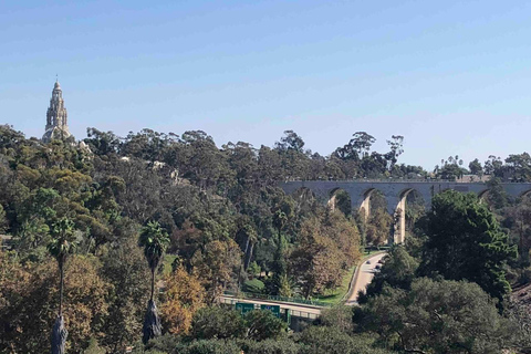 San Diego: Carrera 5K en el Parque Balboa