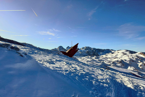 Hallstatt: Panoramic Snowshoe Hike to Heilbronner Cross