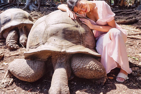 Ciudad de piedra y prisión Isla