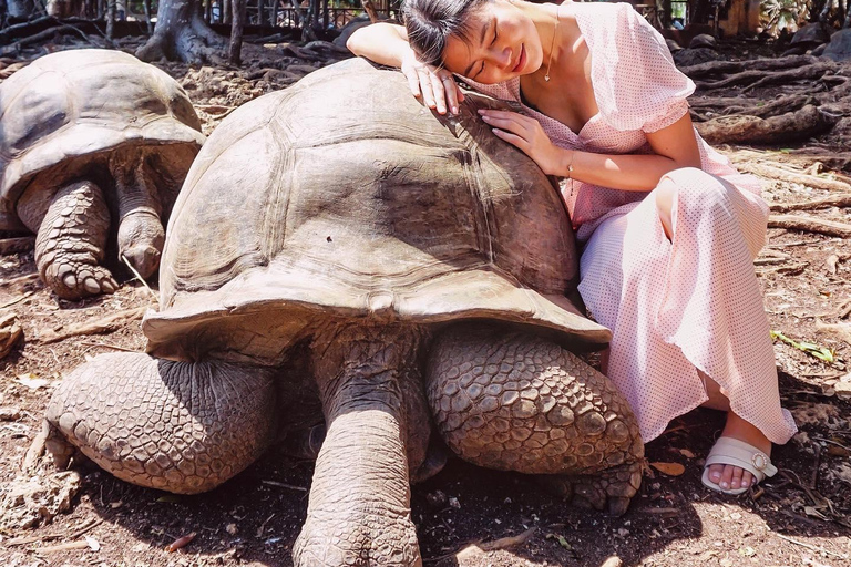 Ciudad de piedra y prisión Isla