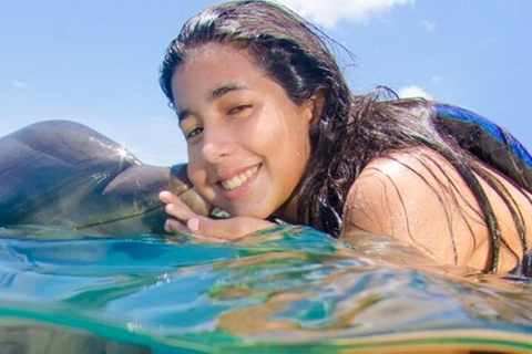 Punta Cana: Dolphin Explorer Program