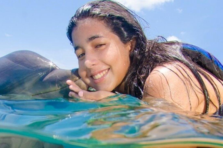 Punta Cana: Dolphin Explorer Program