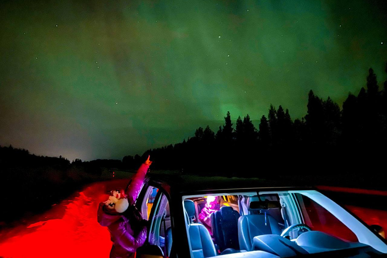 Aurora boreal tour privado Rovaniemi