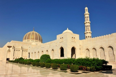 Private Full-Day Muscat City Tour, Wonderful Muscat