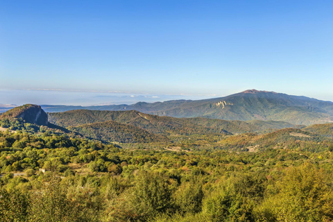 From Tbilisi: Kakheti Private Tour with Wine Tasting