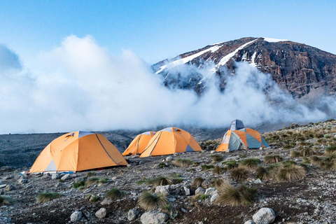 8-tägiges Kilimandscharo-Abenteuer (Machame-Route)