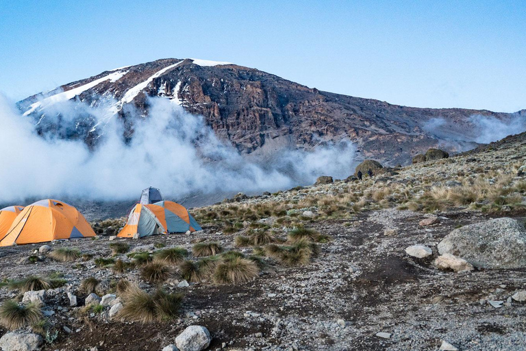 8-tägiges Kilimandscharo-Abenteuer (Machame-Route)