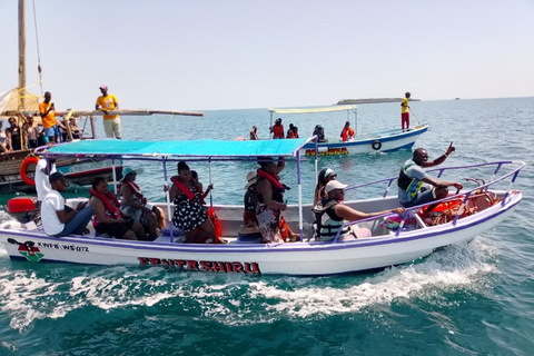 Diani Beach: Wasini Island Dolphin Safari & Snorkeling