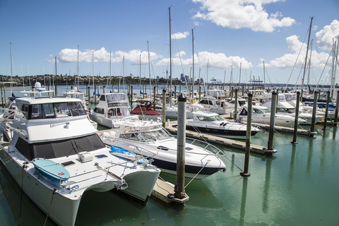 Auckland halfdaagse tour door stedelijke wonderen