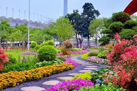 جولة خاصة في تراث غوانغتشو: رحلة بحرية ومعبد العشيرة والأوبرا