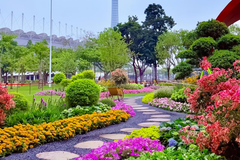 جولة خاصة في تراث غوانغتشو: رحلة بحرية ومعبد العشيرة والأوبرا