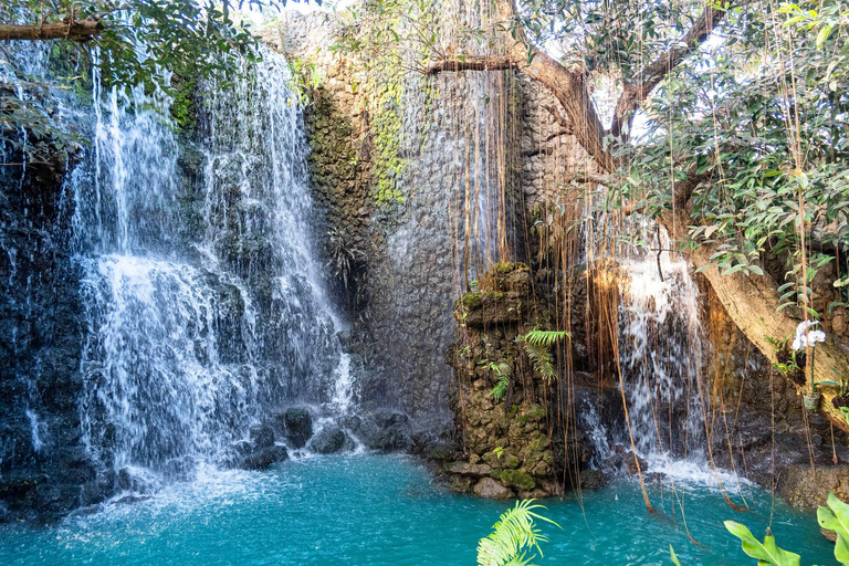 Chiang Mai Sticky Waterfall & Dantewada with Hotel Transfer