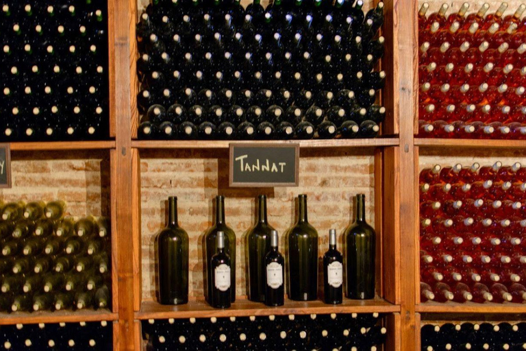 Almacén de la Capilla - doświadczenie winiarskie w CarmeloDoświadczenie i transport z Colonia del Sacramento