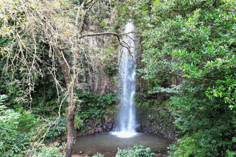 Madeira: PRIVATE 4x4 Jeep Tour MADEIRA PRIVATE HALF DAY 4X4 Jeep Tour
