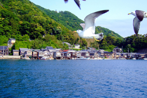 Osaka/Kyoto: Amanohashidate & Ine Funaya & Ine Bay Day Tour Excludes Cable Car & Cruise: 8:00AM Osaka